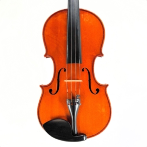 Italian viola by Enzo Barbieri, Mantova (16 1/4") dated 1980