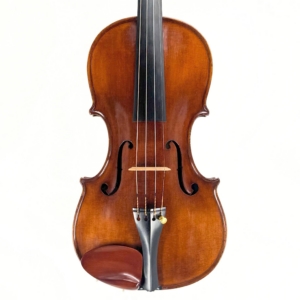 Fine violin by Eugenio Degani, Venice dated 1894